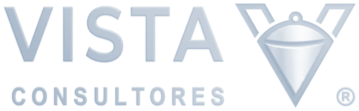 Vista Consultores